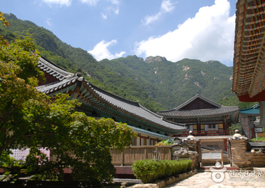 동학사