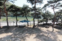 비발디펜션