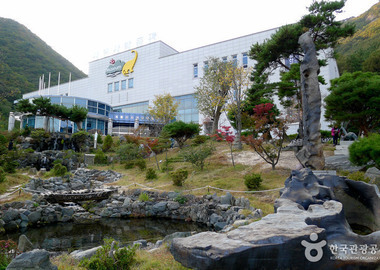 계룡산 자연사박물관